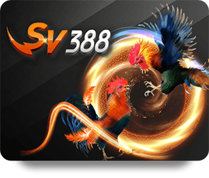 วิธีการแนะนำเพื่อนให้กับ Alpha88 และรับผลตอบแทน