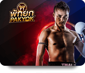 A Guide to Winning Strategies at Paris777 Online Casino